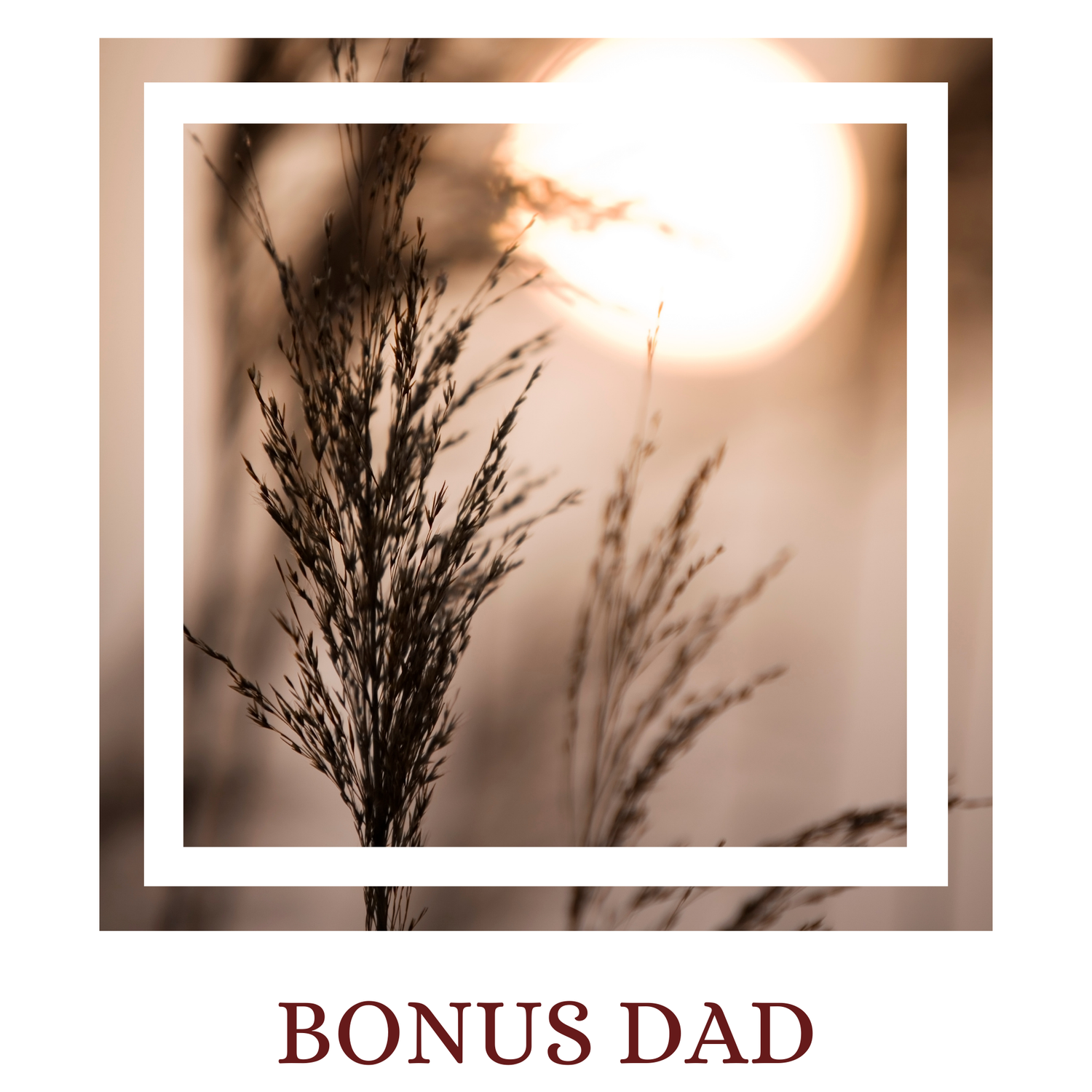 Bonus Dad