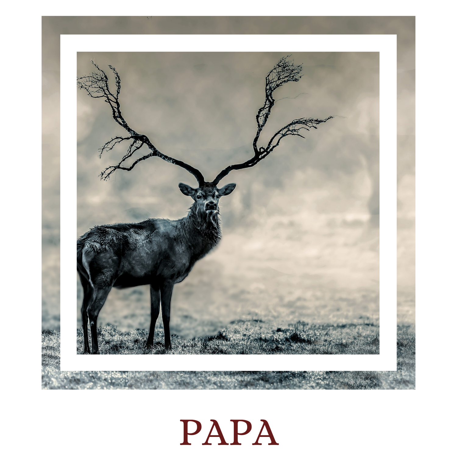 Papa